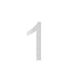 A1